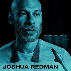 Words Fall Short [LP] (Blue Vinyl) vinylsbase