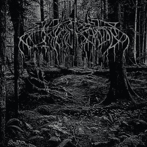 2005 Demo [LP] vinylsbase