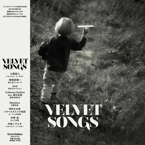 Velvet Songs [LP] vinylsbase