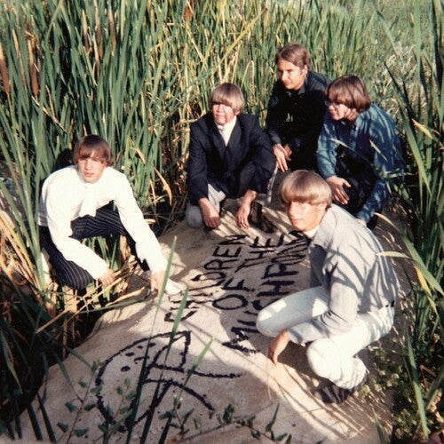 Children Of The Mushroom [LP] vinylsbase