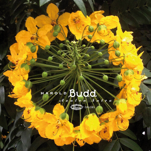 Avalon Sutra [3LP] vinylsbase