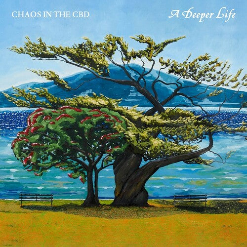 A Deeper Life [2LP 140 Gram] vinylsbase