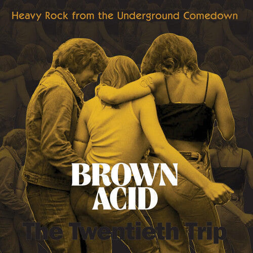 Brown Acid: The Twentieth Trip [LP] vinylsbase