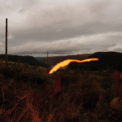 The Foel Tower [LP] vinylsbase