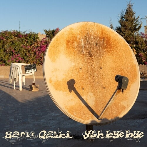 Ylh Bye Bye [LP] vinylsbase