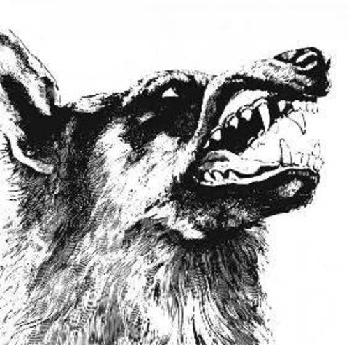 Vigilante [LP] vinylsbase