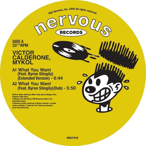 What You Want [12" Vinyl] vinylsbase