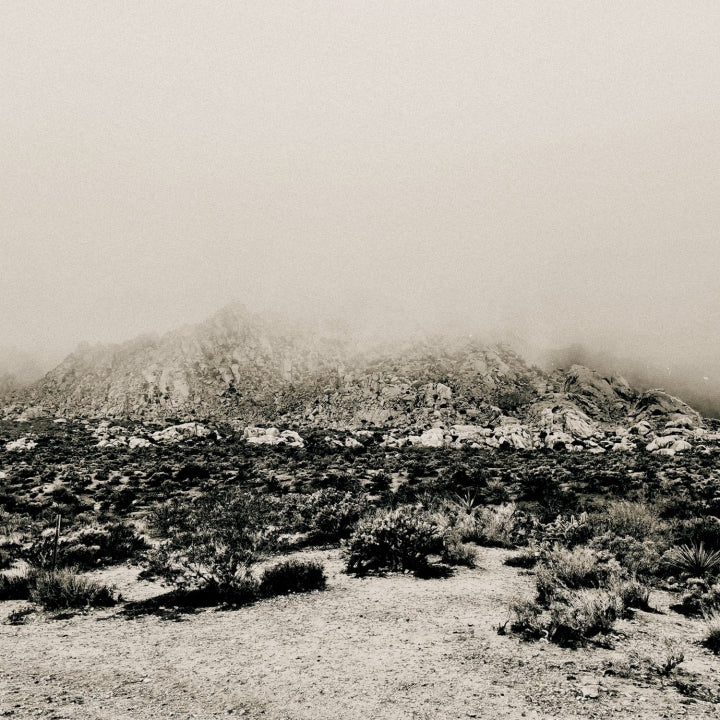 Mnemonic: Ambient Mosaic [LP] vinylsbase