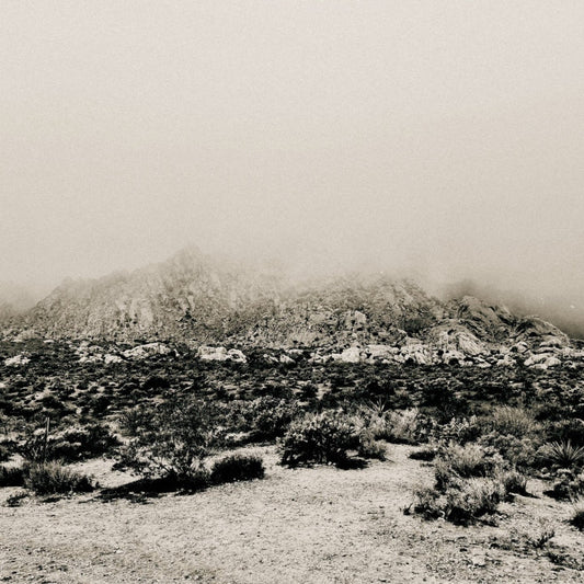 Mnemonic: Ambient Mosaic [LP] vinylsbase