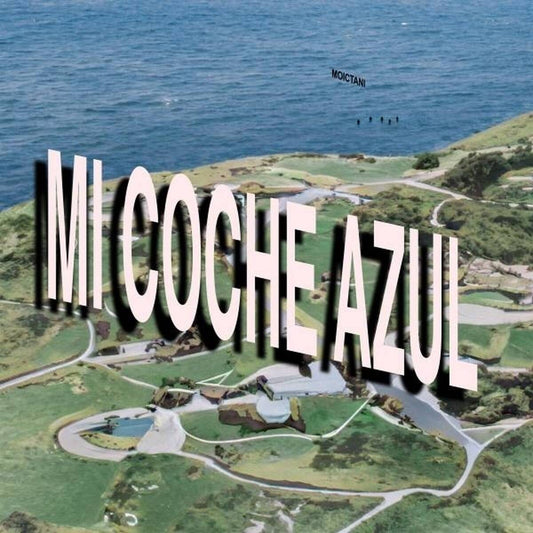 Mi Coche Azul [LP] vinylsbase