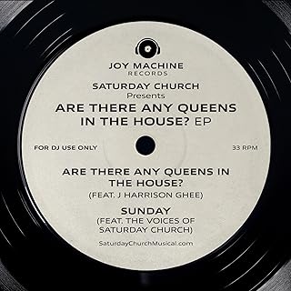 Are There Any Queens In The House? [LP] vinylsbase
