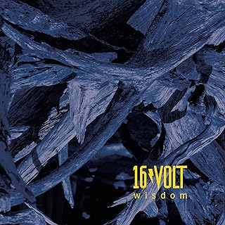 Wisdom [Vinyl LP] vinylsbase