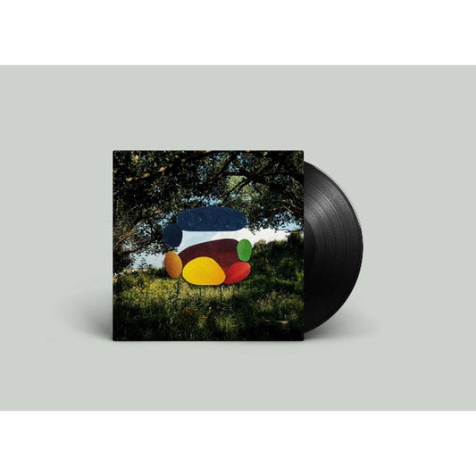Time Drifts [LP import] vinylsbase