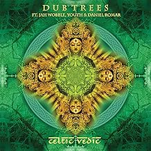 Celtic Vedic [2LP] vinylsbase