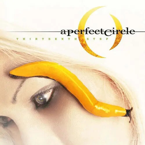 Thirteenth Step [Import Vinyl 2LP] vinylsbase