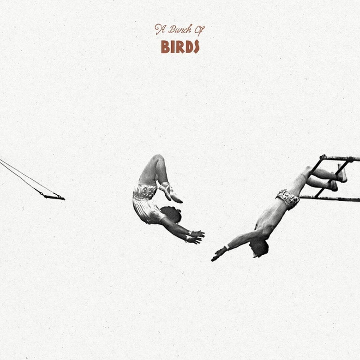 A Bunch Of Birds [LP] (import) vinylsbase