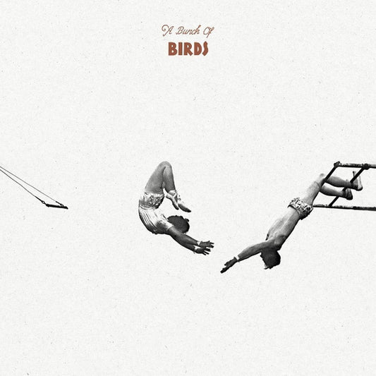 A Bunch Of Birds [LP] (import) vinylsbase