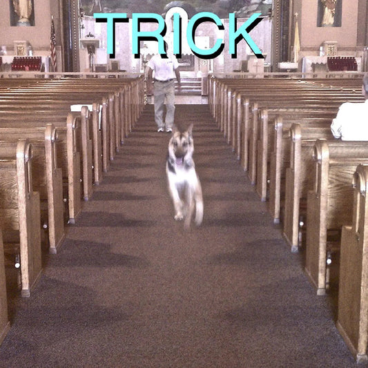 Trick [Deluxe Vinyl with bonus 7" single] vinylsbase