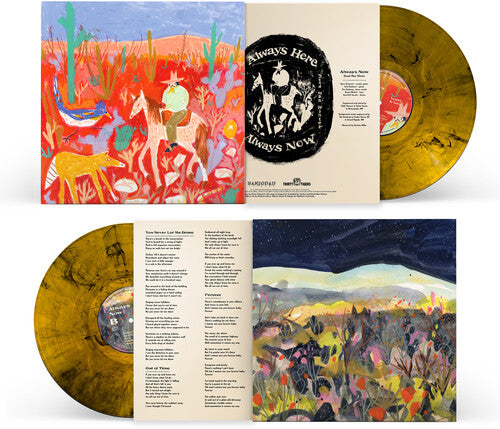 Always Here / Always Now [Vinyl] vinylsbase