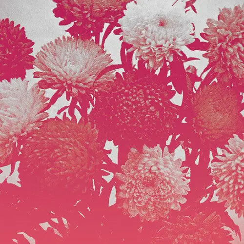 Broken Things [Vinyl] vinylsbase