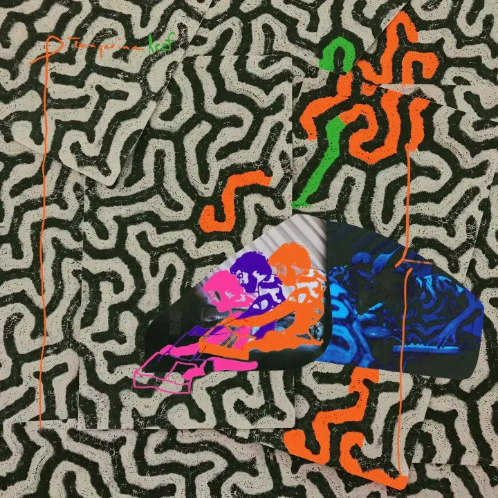 Tangerine Reef [Vinyl] vinylsbase