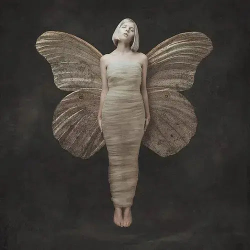 All My Demons Greeting Me As A Friend [Vinyl] vinylsbase
