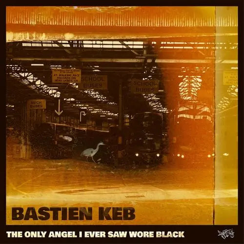 Only Angel I Ever Saw Wore Black [Vinyl] vinylsbase
