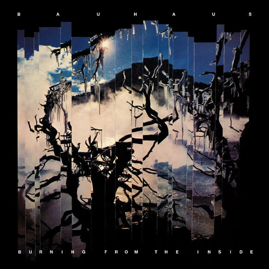 Burning From The Inside [Vinyl] vinylsbase