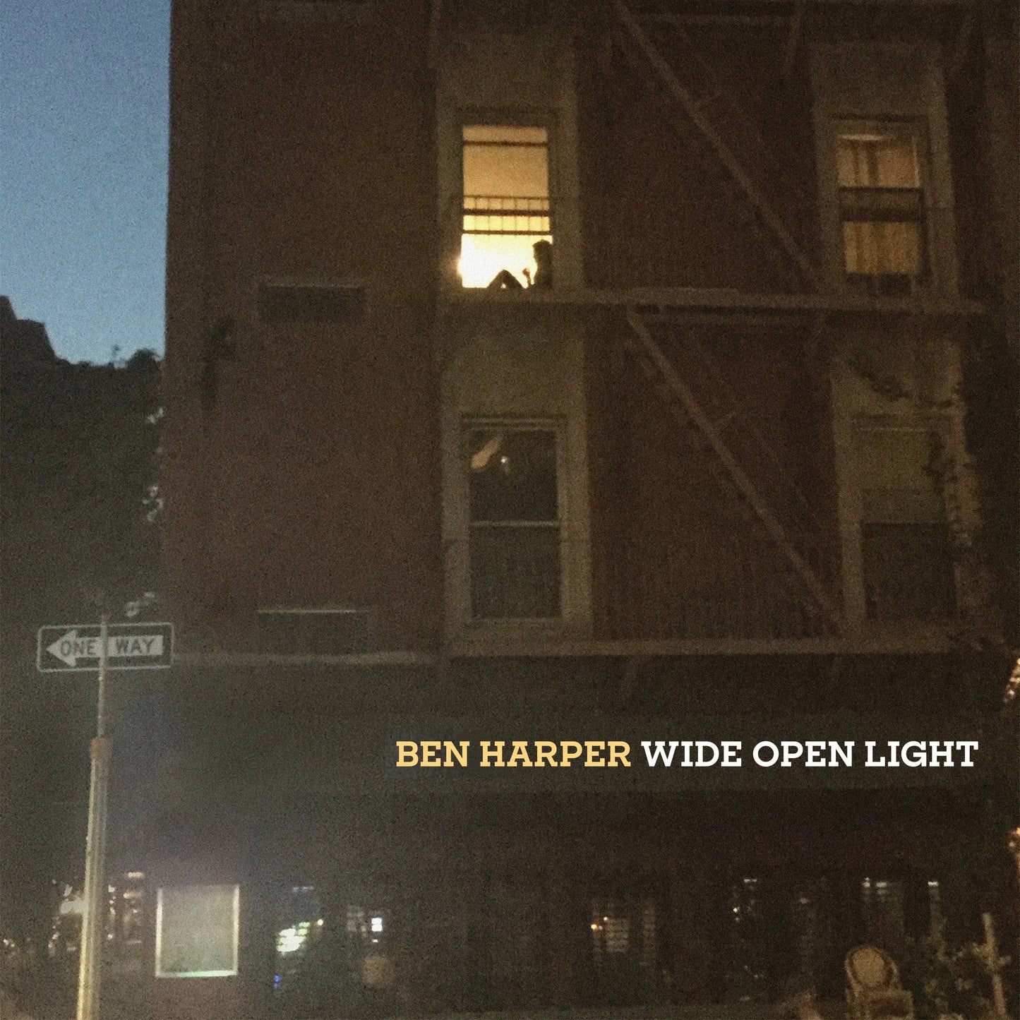 Wide Open Light [Vinyl] vinylsbase
