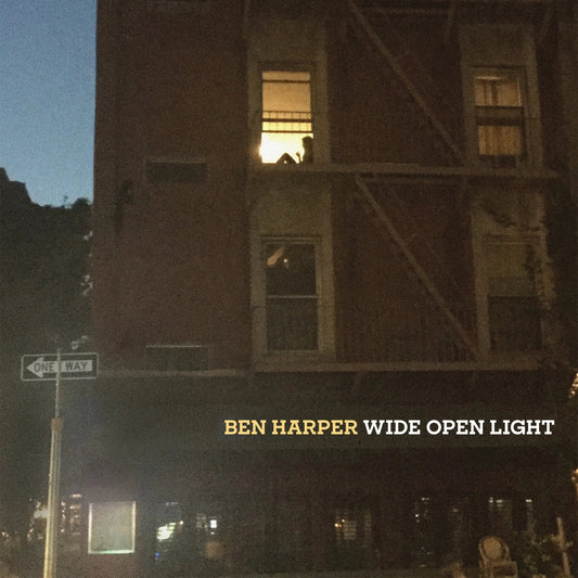 Wide Open Light [Vinyl] vinylsbase
