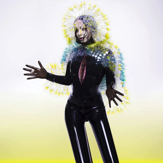 Vulnicura [Vinyl] vinylsbase