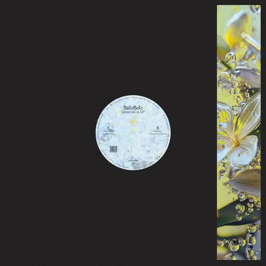 Celandine [12" Vinyl] vinylsbase