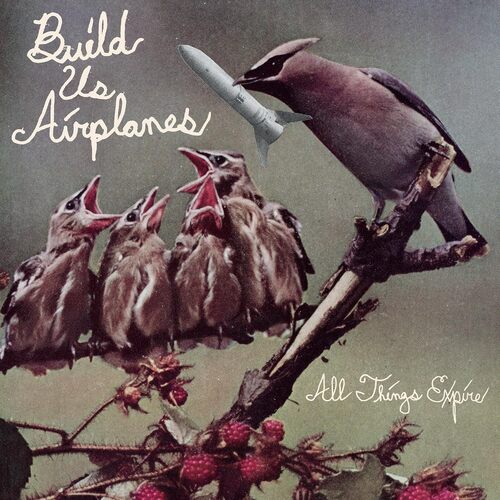All Things Expire [Vinyl] vinylsbase
