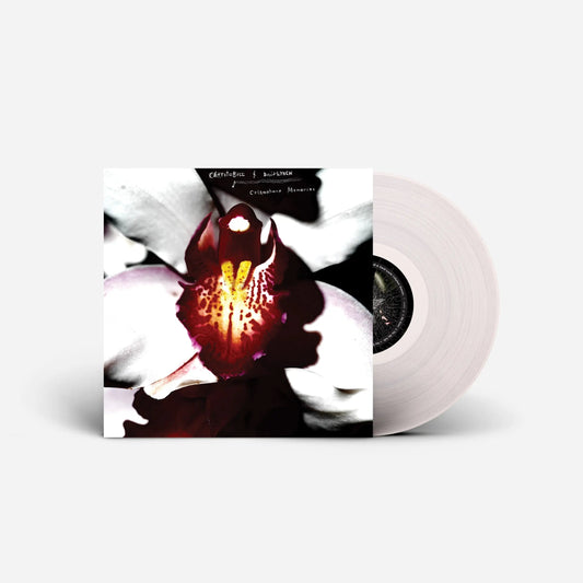 Cellophane Memories [Clear Vinyl] vinylsbase
