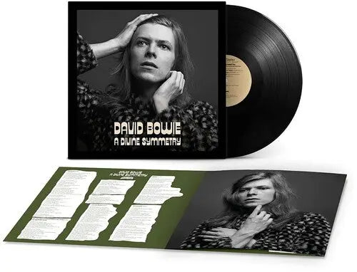 A Divine Symmetry (An alternative journey through Hunky Dory) [Vinyl] vinylsbase