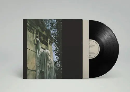 Within The Realm Of A Dying Sun [Vinyl] vinylsbase