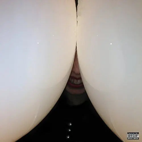 Bottomless Pit [Explicit Vinyl] vinylsbase
