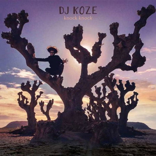 Knock Knock [Vinyl Box Set] vinylsbase