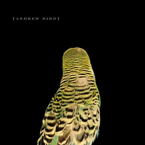 Armchair Apocrypha [Vinyl] vinylsbase