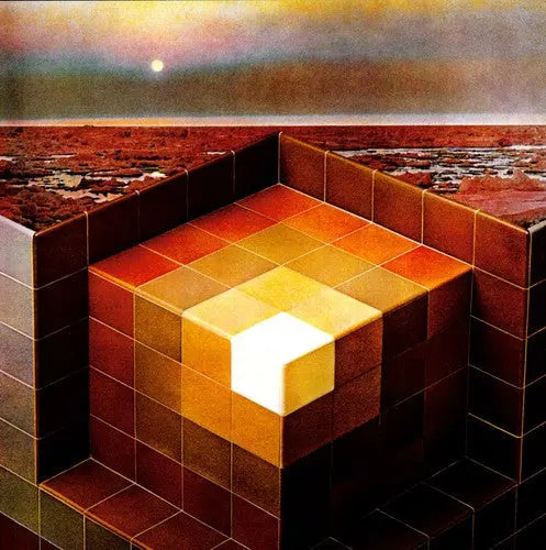 In the Future [Vinyl] vinylsbase