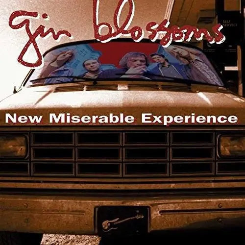 New Miserable Experience [Vinyl] vinylsbase