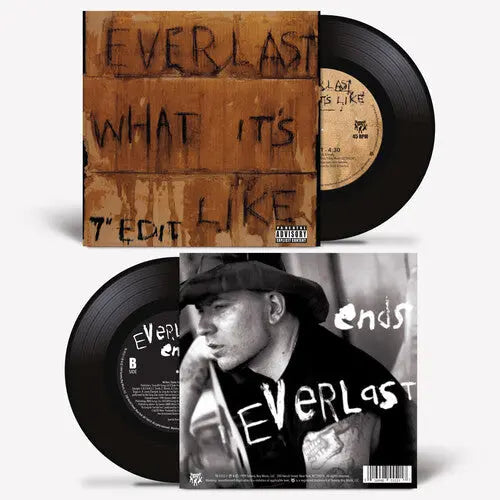 What It's Like / Ends [7" Vinyl Single] vinylsbase