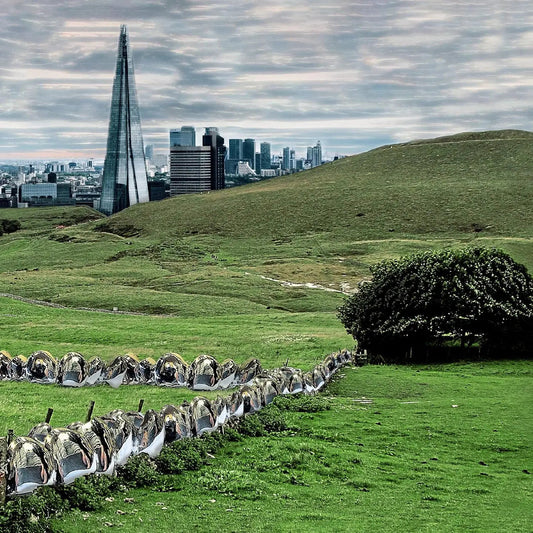 The Valley/England Ep [Vinyl] vinylsbase