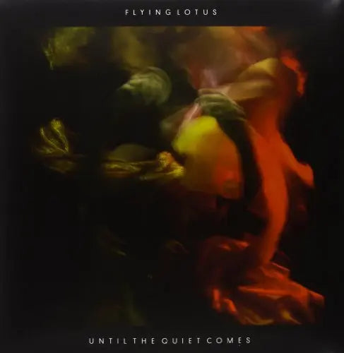 Until the Quiet Comes [2LP Vinyl] vinylsbase