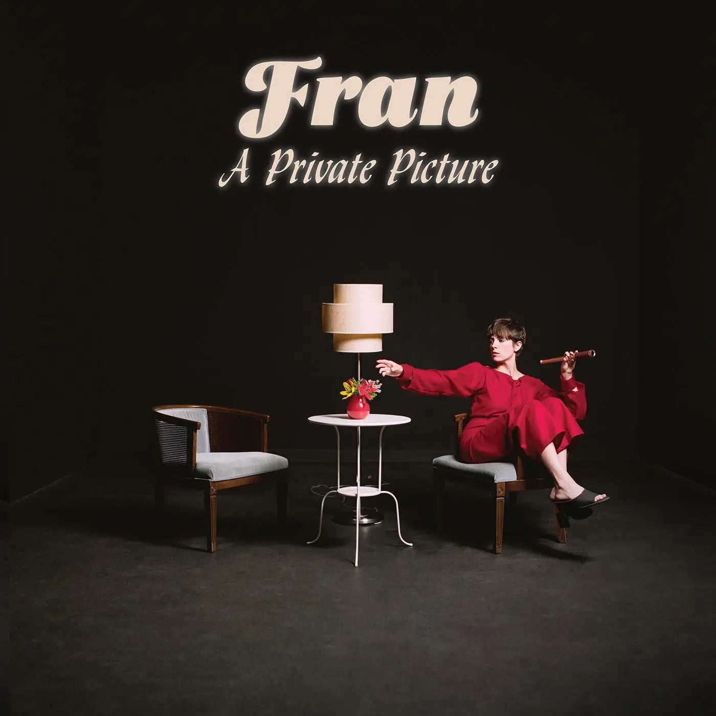 A Private Picture [Vinyl] vinylsbase