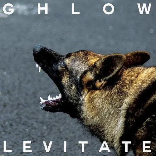 Levitate [White Vinyl] vinylsbase