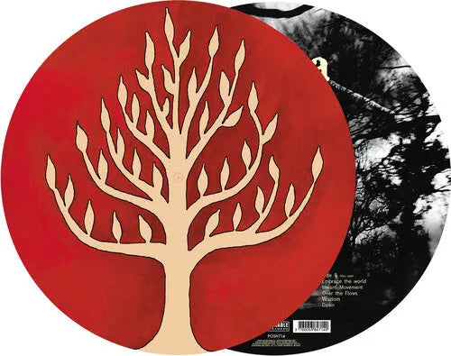 The Link [Picture Disc Vinyl] vinylsbase