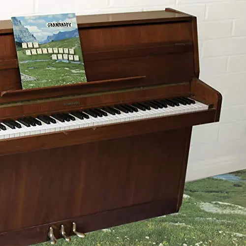 The Sophtware Slump.....On A Wooden Piano [Pink Vinyl] vinylsbase