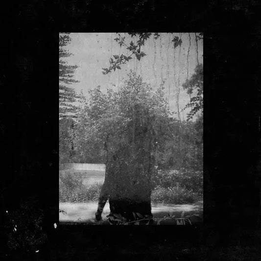 Ruins [LP] vinylsbase