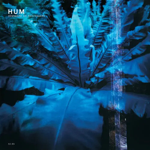 Downward Is Heavenward [Vinyl] vinylsbase